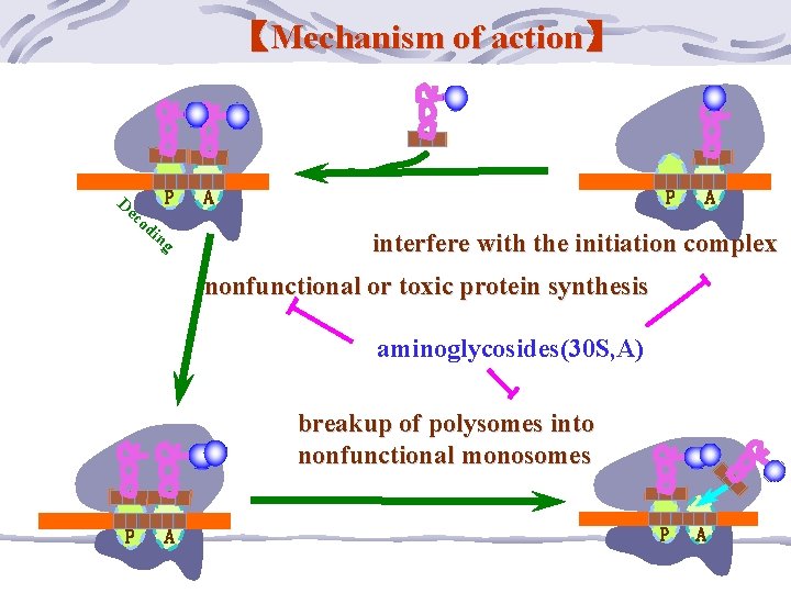 【Mechanism of action】 De co d P in g P A A interfere with