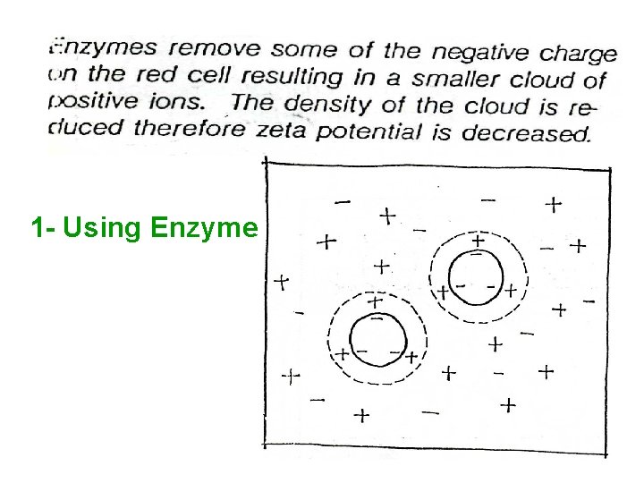 1 - Using Enzyme 