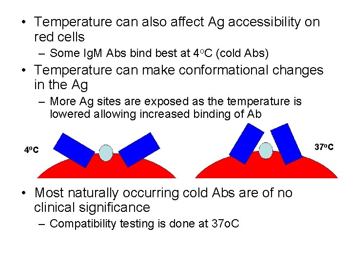  • Temperature can also affect Ag accessibility on red cells – Some Ig.