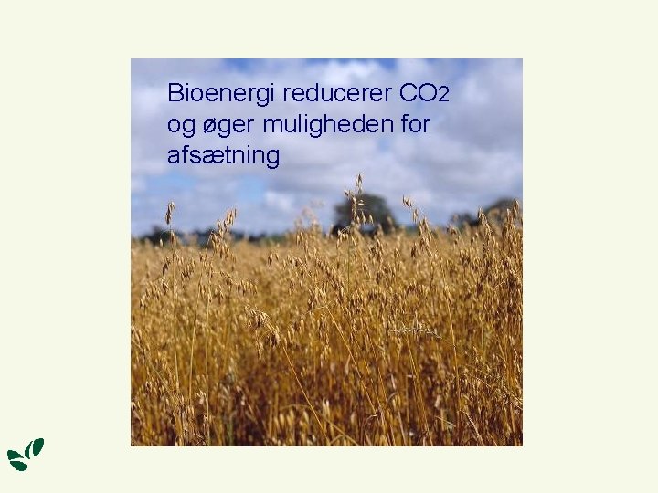 Bioenergi reducerer CO 2 og øger muligheden for afsætning 
