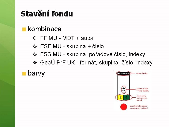 Stavění fondu kombinace v v FF MU - MDT + autor ESF MU -