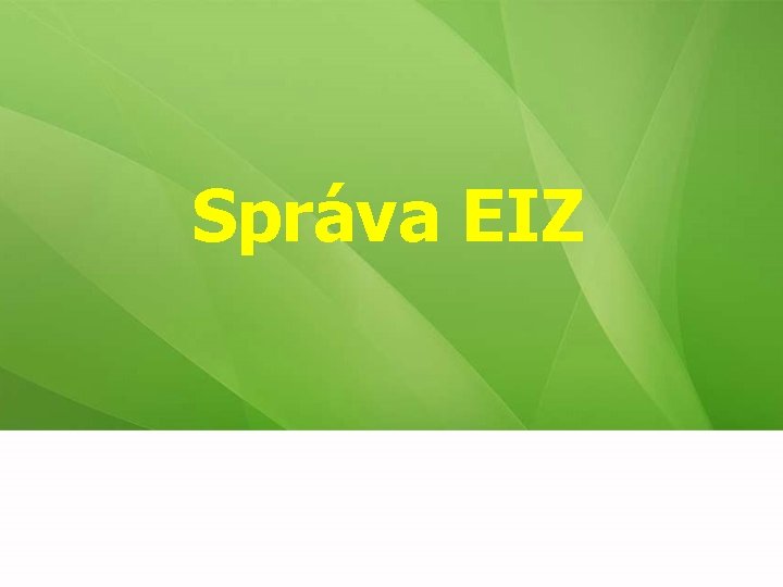 Správa EIZ 