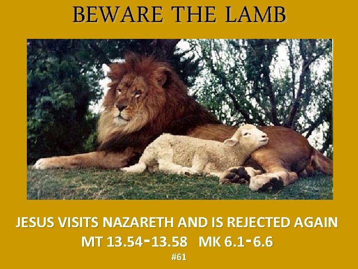 BEWARE THE LAMB JESUS VISITS NAZARETH AND IS REJECTED AGAIN MT 13. 54‑ 13.