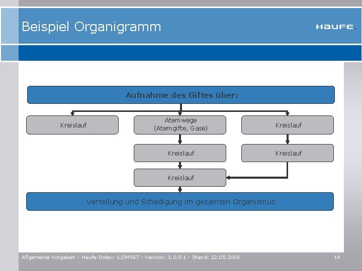 Beispiel Organigramm Aufnahme des Giftes über: Kreislauf Atemwege (Atemgifte, Gase) Kreislauf Verteilung und Schädigung