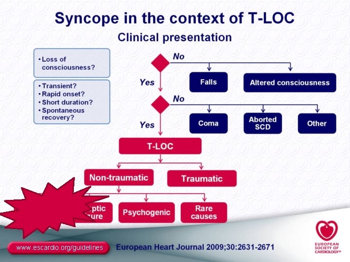 www. escardio. org/guidelines 