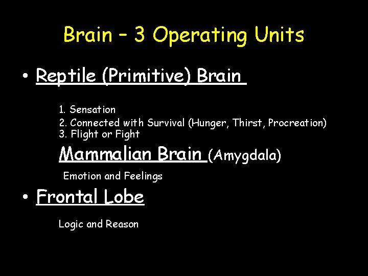 Brain – 3 Operating Units • Reptile (Primitive) Brain 1. Sensation 2. Connected with