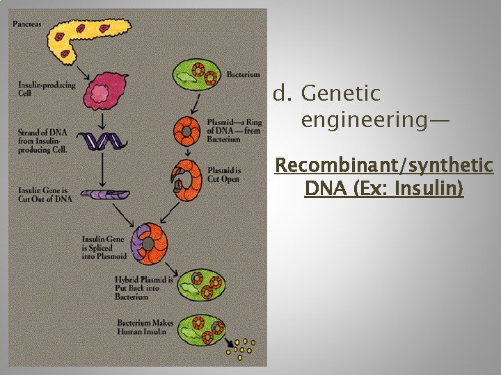 d. Genetic engineering— Recombinant/synthetic DNA (Ex: Insulin) 