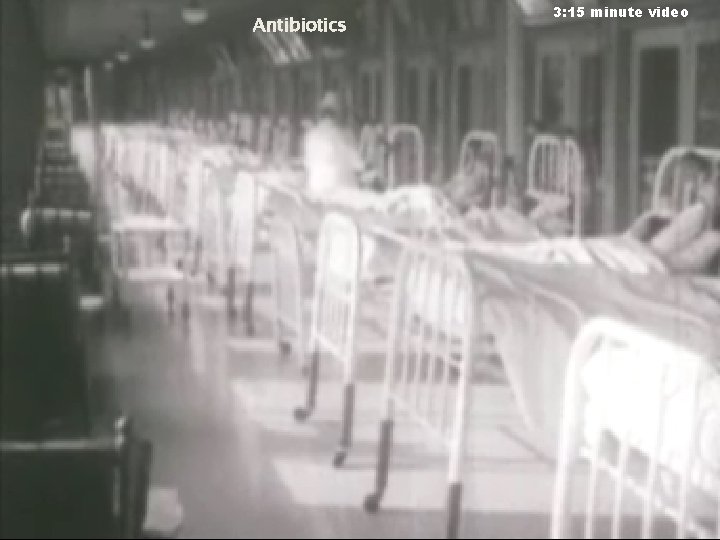 Antibiotics 3: 15 minute video 
