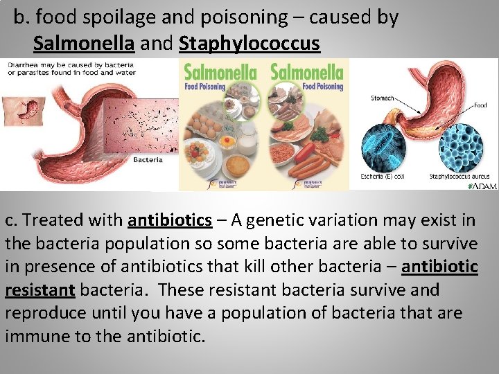 b. food spoilage and poisoning – caused by Salmonella and Staphylococcus c. Treated with