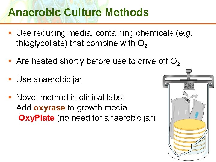 Anaerobic Culture Methods § Use reducing media, containing chemicals (e. g. thioglycollate) that combine Anaerobic Culture Methods § Use reducing media, containing chemicals (e. g. thioglycollate) that combine