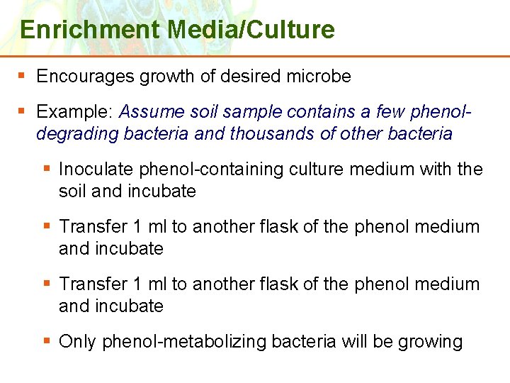 Enrichment Media/Culture § Encourages growth of desired microbe § Example: Assume soil sample contains