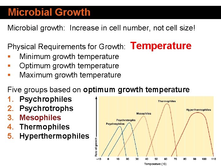 Microbial Growth Microbial growth: Increase in cell number, not cell size! Physical Requirements for