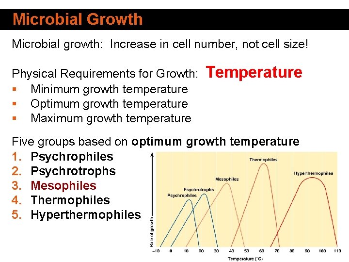 Microbial Growth Microbial growth: Increase in cell number, not cell size! Physical Requirements for Microbial Growth Microbial growth: Increase in cell number, not cell size! Physical Requirements for