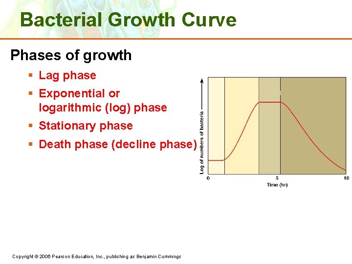 Bacterial Growth Curve Phases of growth § Lag phase § Exponential or logarithmic (log)