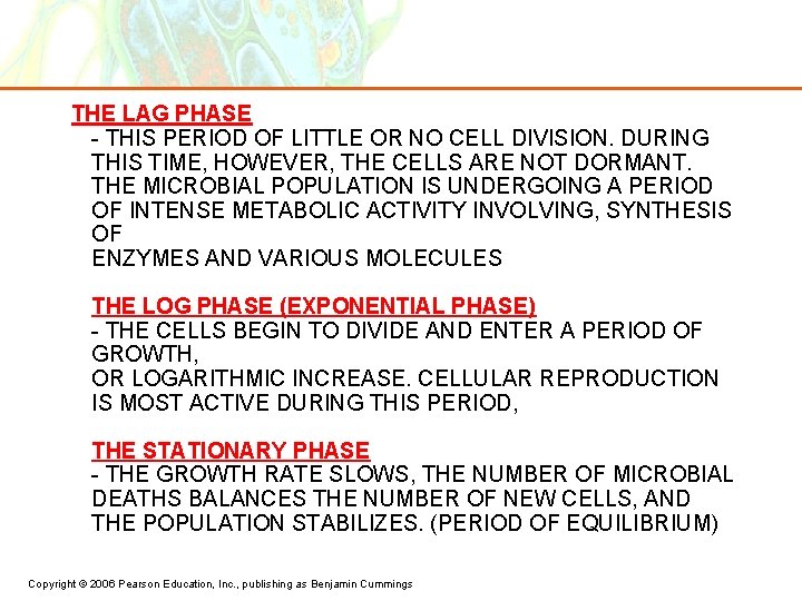 THE LAG PHASE - THIS PERIOD OF LITTLE OR NO CELL DIVISION. DURING THIS