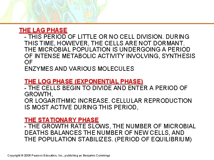 THE LAG PHASE - THIS PERIOD OF LITTLE OR NO CELL DIVISION. DURING THIS THE LAG PHASE - THIS PERIOD OF LITTLE OR NO CELL DIVISION. DURING THIS