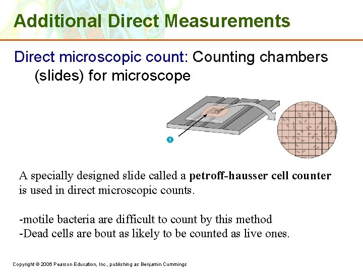 Additional Direct Measurements Direct microscopic count: Counting chambers (slides) for microscope A specially designed