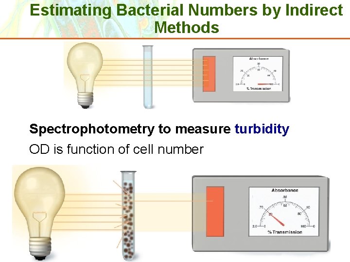 Estimating Bacterial Numbers by Indirect Methods Spectrophotometry to measure turbidity OD is function of