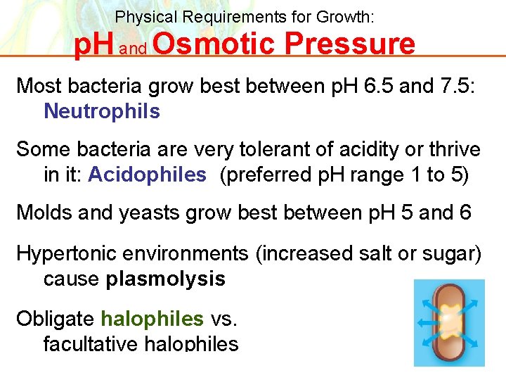 Physical Requirements for Growth: p. H and Osmotic Pressure Most bacteria grow best between