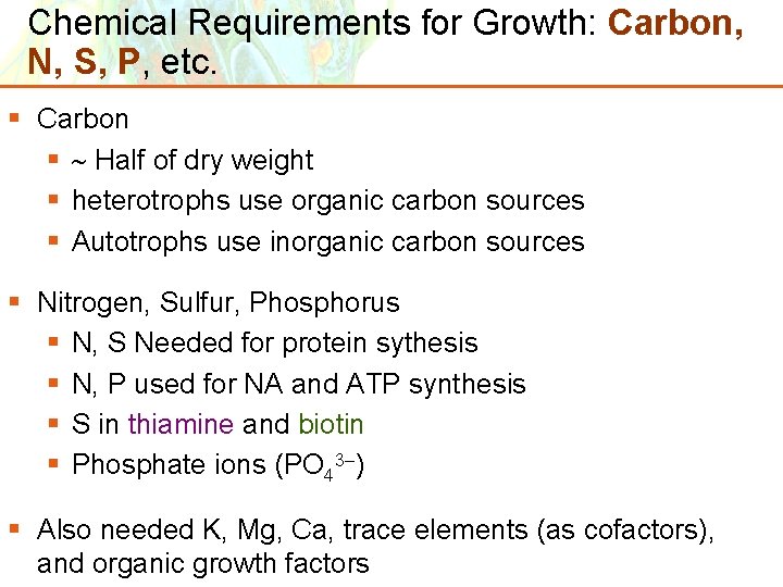 Chemical Requirements for Growth: Carbon, N, S, P, etc. § Carbon § Half of