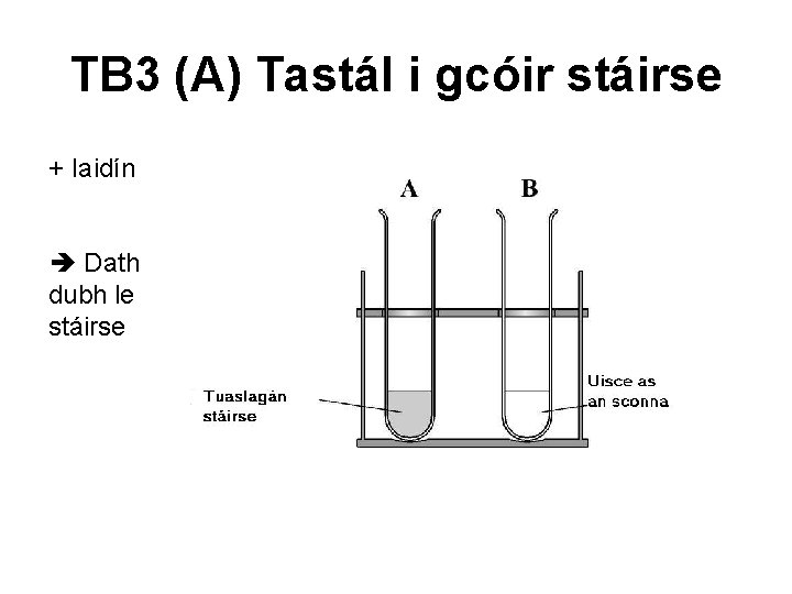 TB 3 (A) Tastál i gcóir stáirse + Iaidín Dath dubh le stáirse 