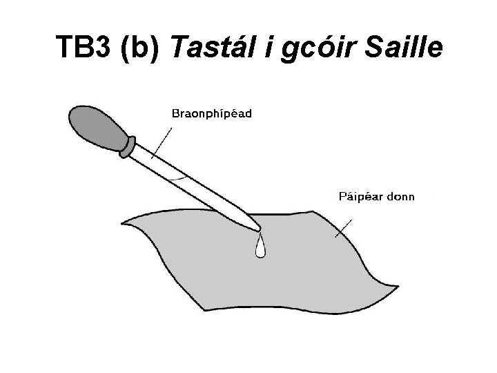 TB 3 (b) Tastál i gcóir Saille 