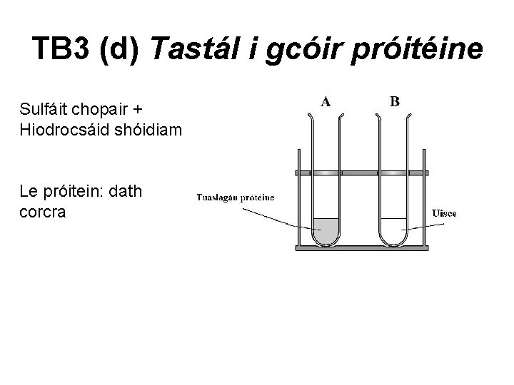 TB 3 (d) Tastál i gcóir próitéine Sulfáit chopair + Hiodrocsáid shóidiam Le próitein: