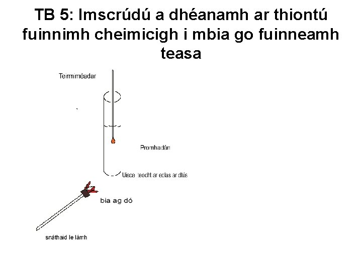 TB 5: Imscrúdú a dhéanamh ar thiontú fuinnimh cheimicigh i mbia go fuinneamh teasa