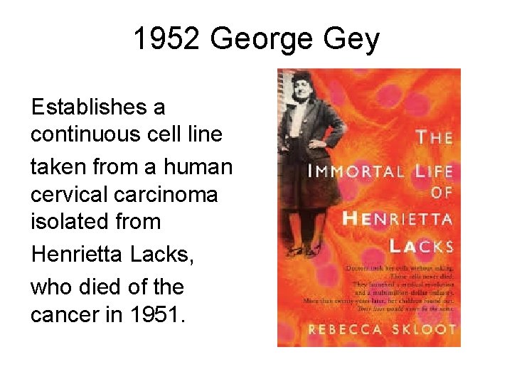 1952 George Gey Establishes a continuous cell line taken from a human cervical carcinoma