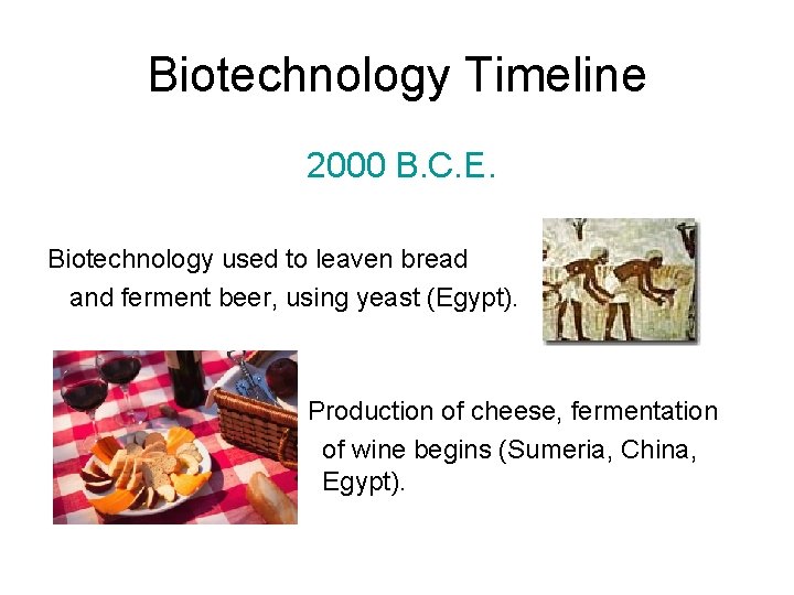 Biotechnology Timeline 2000 B. C. E. Biotechnology used to leaven bread and ferment beer,