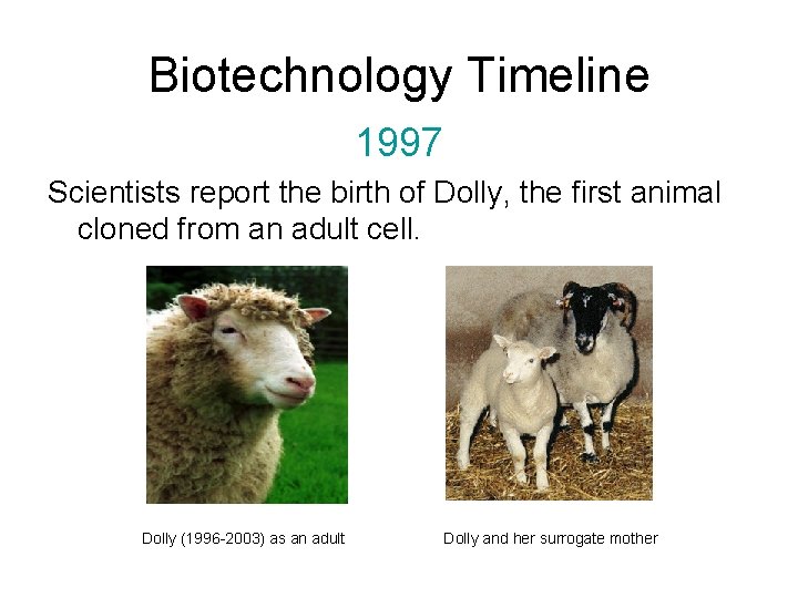 Biotechnology Timeline 1997 Scientists report the birth of Dolly, the first animal cloned from