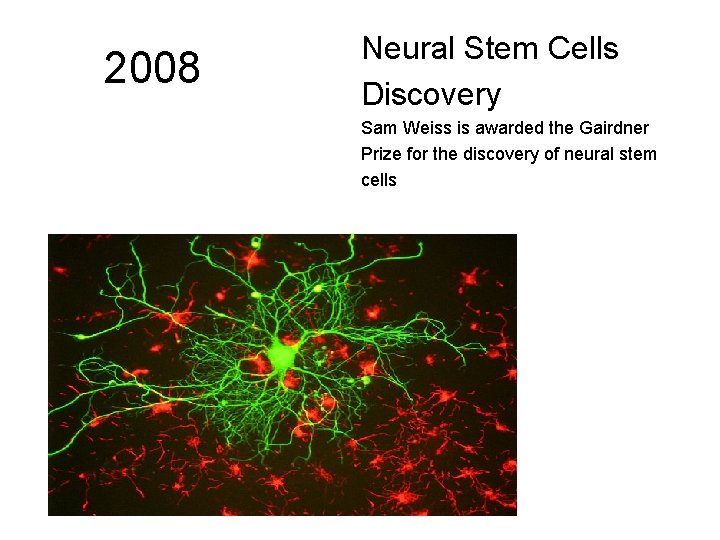 2008 Neural Stem Cells Discovery Sam Weiss is awarded the Gairdner Prize for the