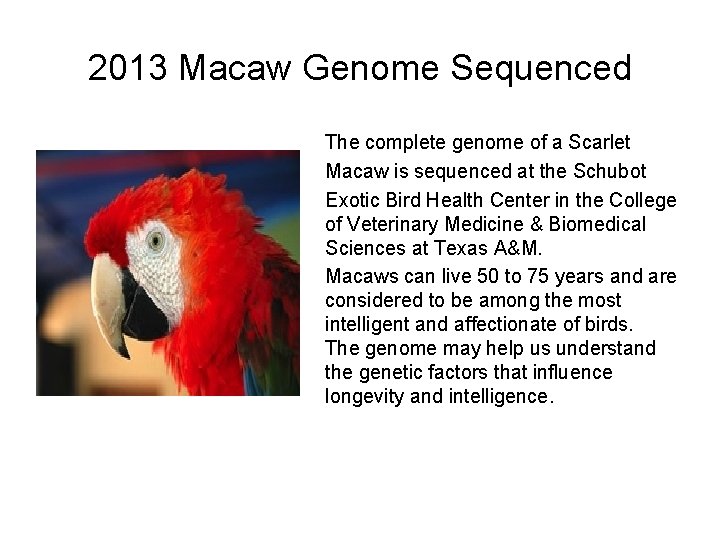 2013 Macaw Genome Sequenced The complete genome of a Scarlet Macaw is sequenced at