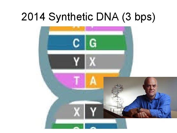 2014 Synthetic DNA (3 bps) 