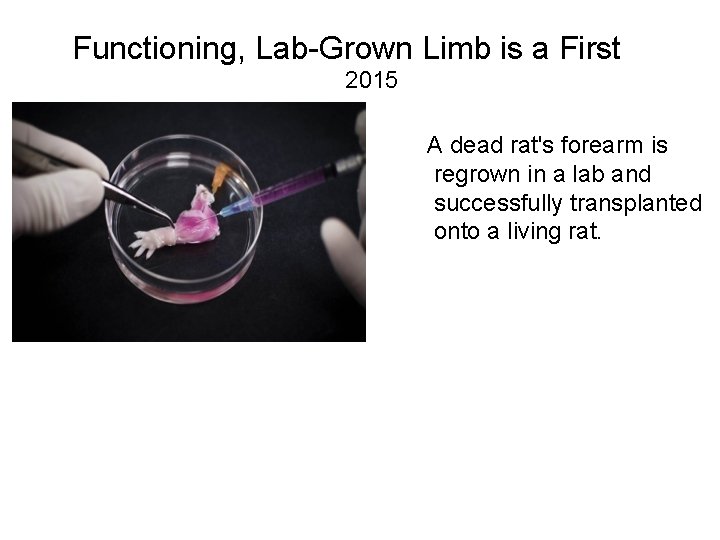 Functioning, Lab-Grown Limb is a First 2015 A dead rat's forearm is regrown in