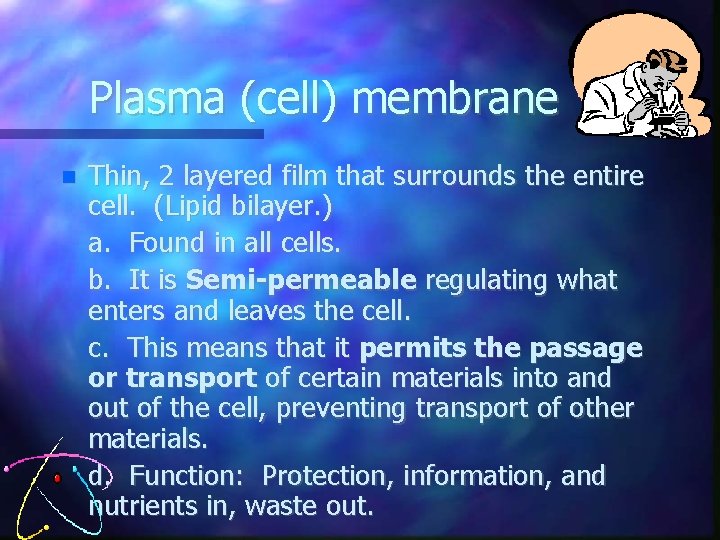 Plasma (cell) membrane Thin, 2 layered film that surrounds the entire cell. (Lipid bilayer.