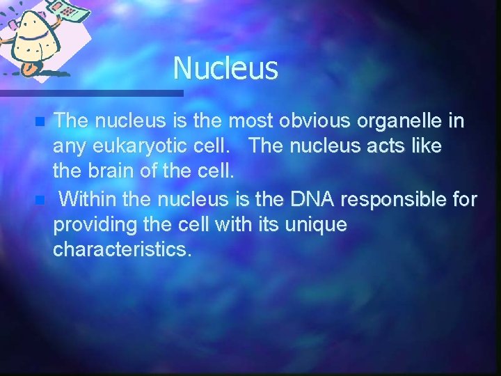 Nucleus The nucleus is the most obvious organelle in any eukaryotic cell. The nucleus