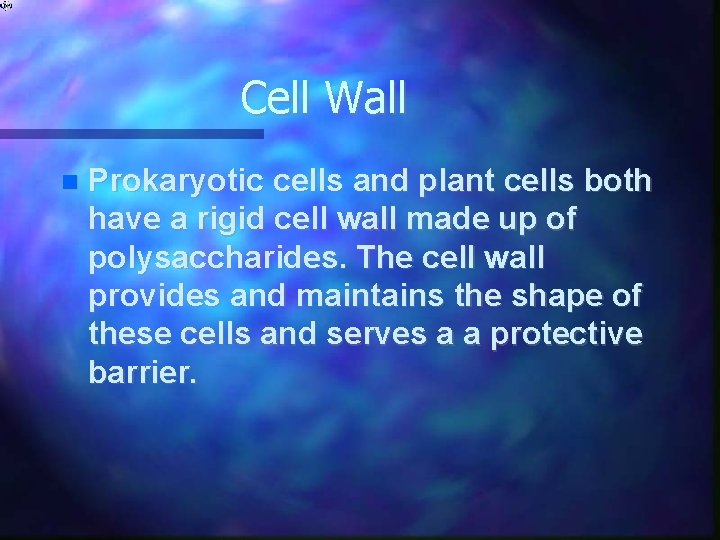 Cell Wall Prokaryotic cells and plant cells both have a rigid cell wall made