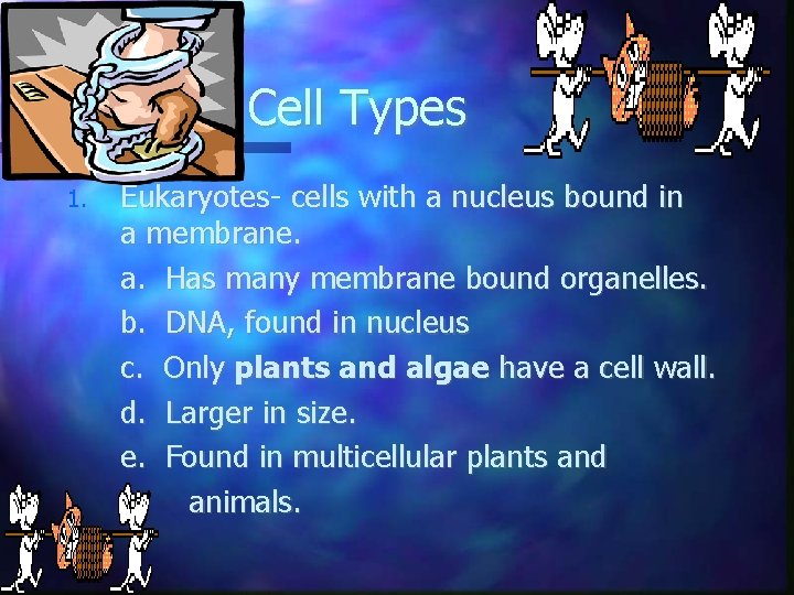 Cell Types 1. Eukaryotes- cells with a nucleus bound in a membrane. a. Has