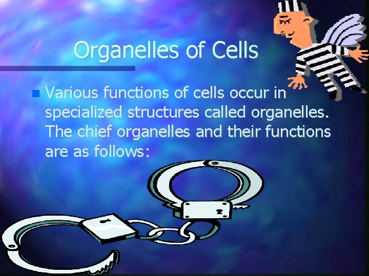 Organelles of Cells Various functions of cells occur in specialized structures called organelles. The