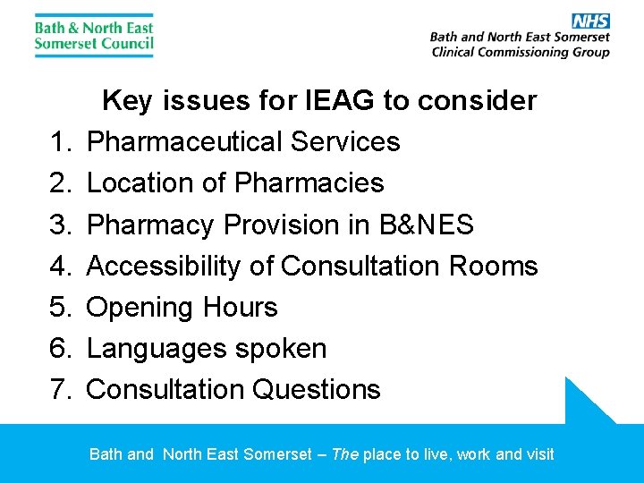 1. 2. 3. 4. 5. 6. 7. Key issues for IEAG to consider Pharmaceutical