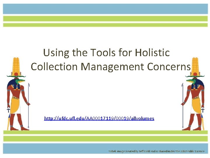 Using the Tools for Holistic Collection Management Concerns http: //ufdc. ufl. edu/AA 00017119/00019/allvolumes 