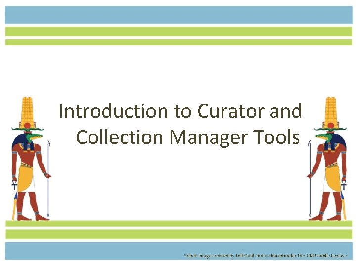 Introduction to Curator and Collection Manager Tools 