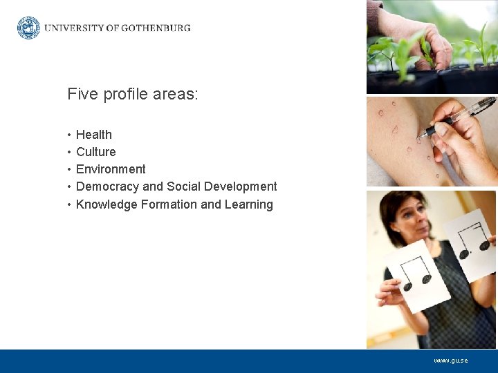 Five profile areas: • • • Health Culture Environment Democracy and Social Development Knowledge