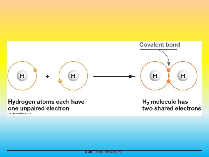 © 2011 Pearson Education, Inc. 