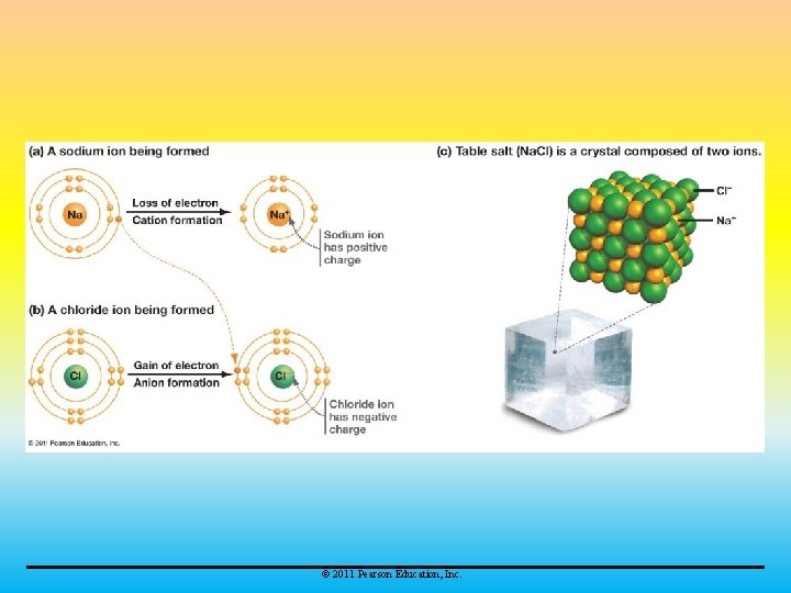 © 2011 Pearson Education, Inc. 