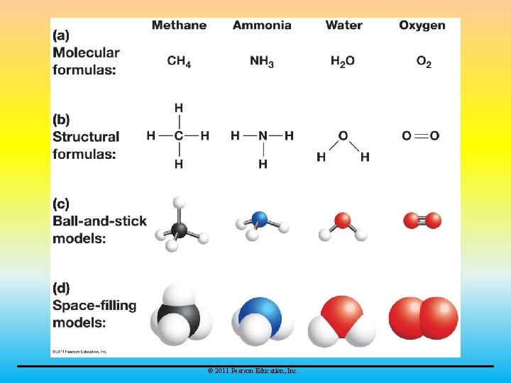 © 2011 Pearson Education, Inc. 