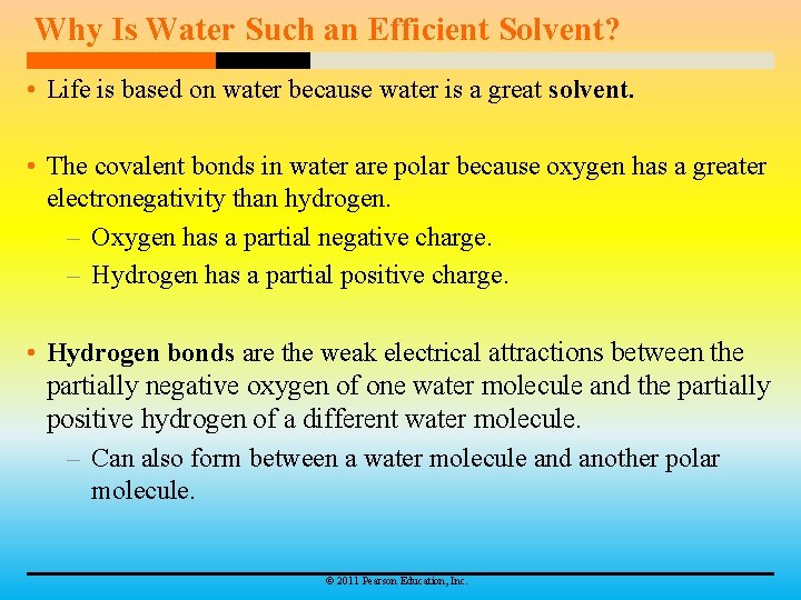 Why Is Water Such an Efficient Solvent? • Life is based on water because