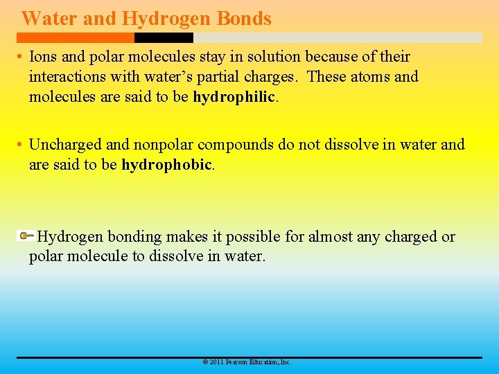 Water and Hydrogen Bonds • Ions and polar molecules stay in solution because of