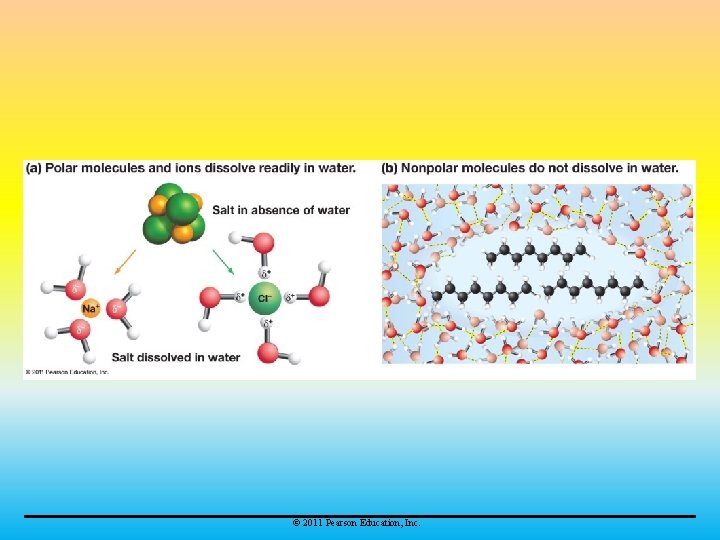 © 2011 Pearson Education, Inc. 